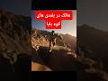 هالک در کوه های افغانستان