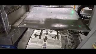 1000ml 2-compartment Bagasse Lunch Box Mass Production