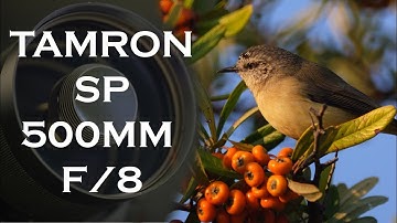 Tamron SP 500mm f/8 Mirror Lens