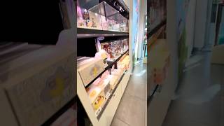 My 1st POP MART Store pt. 2 - Chicago, IL 8/29/25