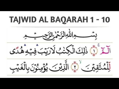 BELAJAR BACA DAN TAJWID QURAN MUDAH SURAH AL BAQARAH AYAT 1 - 10