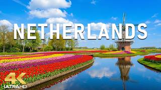 Netherlands 4K | Endless Tulip Fields, Windmills of Kinderdijk &amp; Golden Spring Landscapes