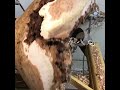 Another monster from @bigashbowls•Progress shot catalpa burl natural edge wood bowl/art piece.