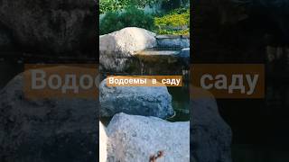 водоёмы в саду #ландшафт #благоустройство #ландшафтныйдизайн