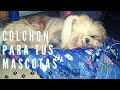 DIY / Como Hacer Colchón o Cama Para Perros en tela - fácil y rápido mascotas