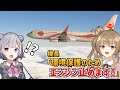 全然サステナブルじゃない航空会社です【Microsoft Flight Simulator 2024】