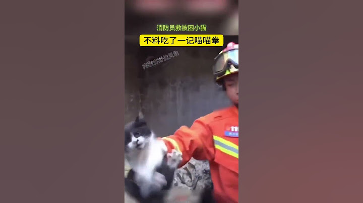 消防員救被困小貓，不料吃了一記喵喵拳