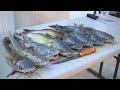 CATFISH on a Trotline - Fried Catfish Feast!!!