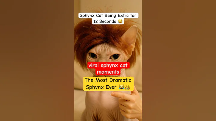 Video 11874761: sphynx cat funnycat, sphynx kitty cat, sphynx cat baby, funny sphynx cat, royal, bath