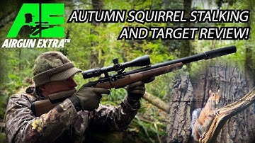 Airgun Extra | Autumn squirrel hunting | Some of the best targets for airgun shooting