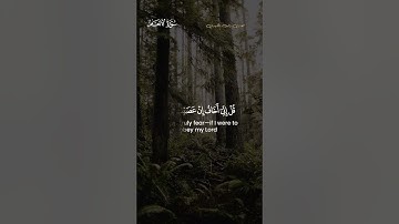 وله ما سكن في الليل والنهار وهو السميع العليم ... القارئ راتب الخليدي