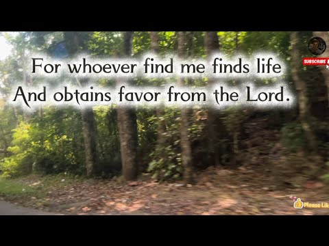 For whoever find me finds life And obtains favor from the Lord. @Axellifejourney