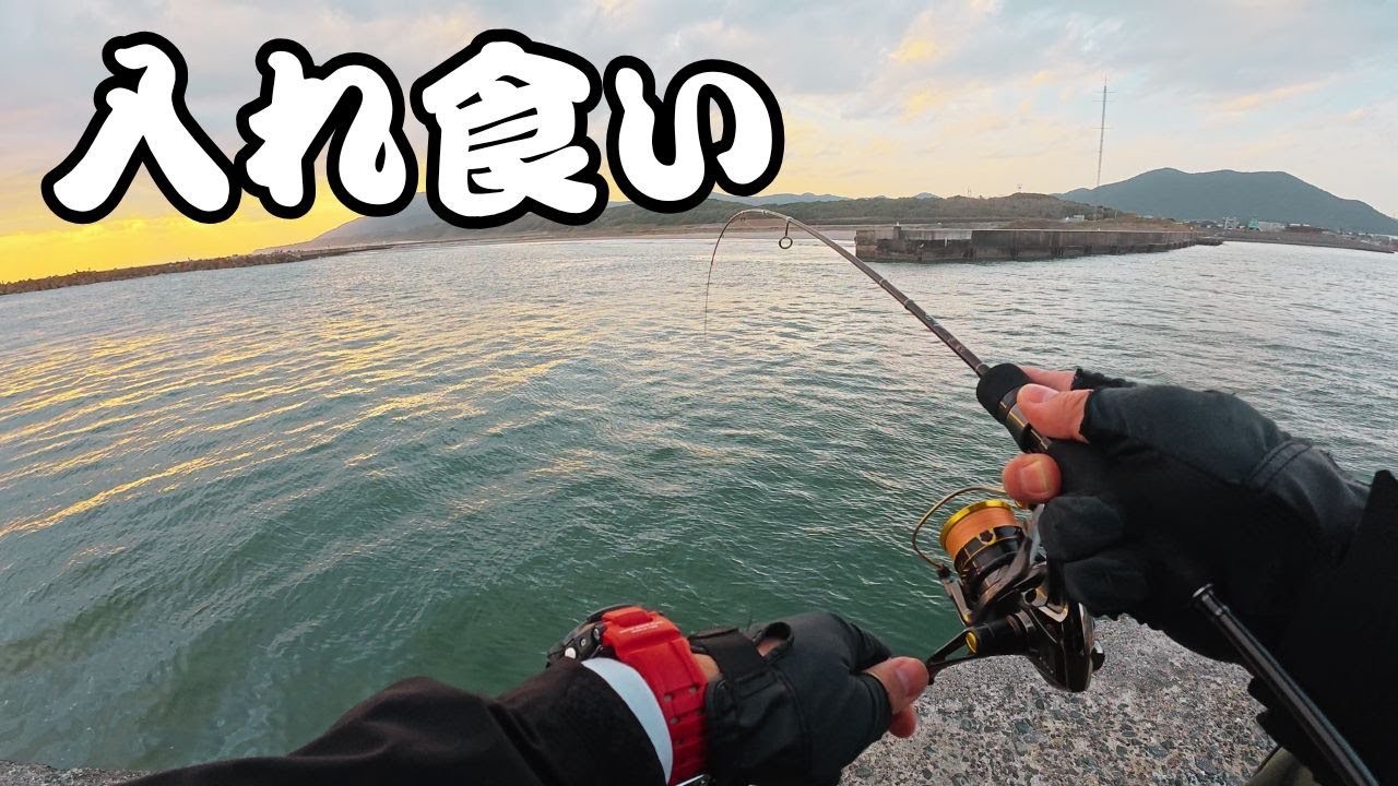 【アジング】魚が入れ食いの堤防でライトゲーム