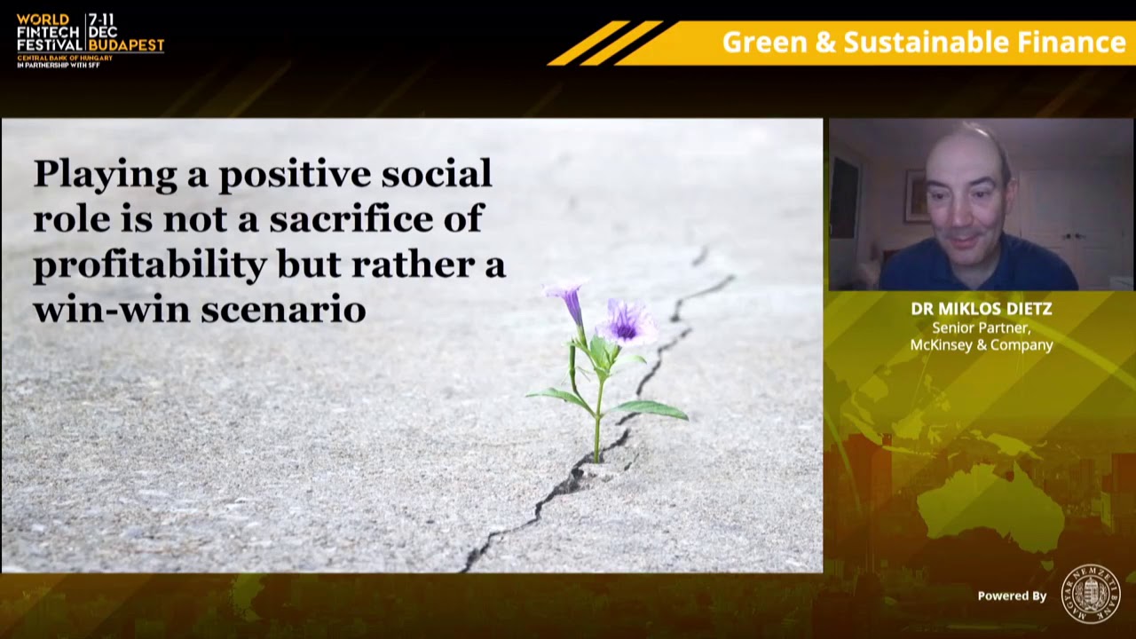 Doing Good – How to Increase Positive Environmental and Social Impact of the Financial Sector?