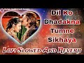 Dil Ko Dhadakna Tumne Sikhaya || Lofi Slowed And Reverb || Full Song's || Jodha Akbar || Serial Song Mp3 Song