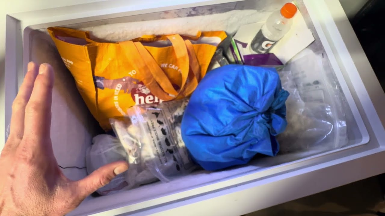 The MORT FREEZER:  tips and tricks for maintain frozen feeder safety for Ball pythons and boas...