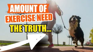 How Much EXERCISE Does My DOG NEED Per DAY? The truth