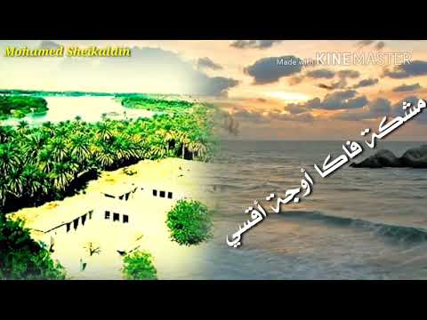 الفنان علي دبشة