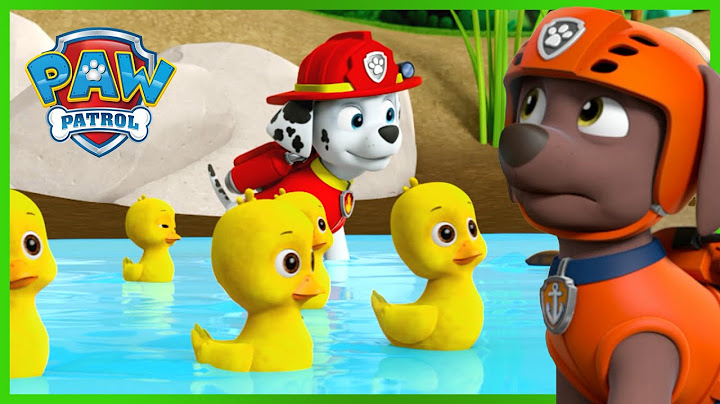 毛毛拯救小鴨池塘｜Paw Patrol 汪汪隊立大功 - 兒童卡通