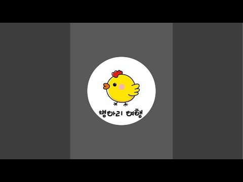 병아리여행 라이브 스트리밍 중