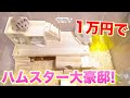 【1万円！】ハムスター大豪邸を作る！！DIY1万円企画