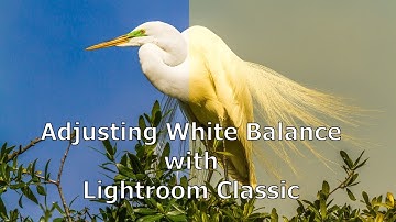 Lightroom Classic:  Fixing Color using the White Balance Tool.