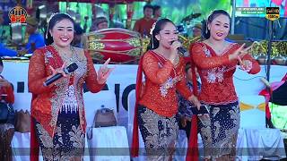  Tayub Glerrr Suryo Laras Kolaborasi Terbaru  Pt Yapa Sandy Media Kondangnya Tayub Indonesia