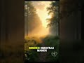 Oración de la mañana por paz interior y serenidad para tu día