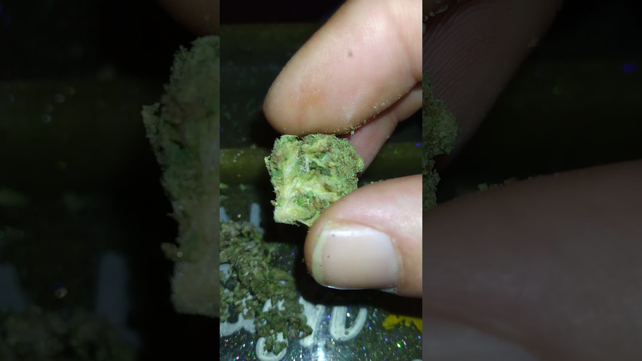 purple passion gelato kush