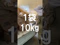 日曜日のルーティンPART.1 エサやり【美里オーストリッチファーム】#shorts