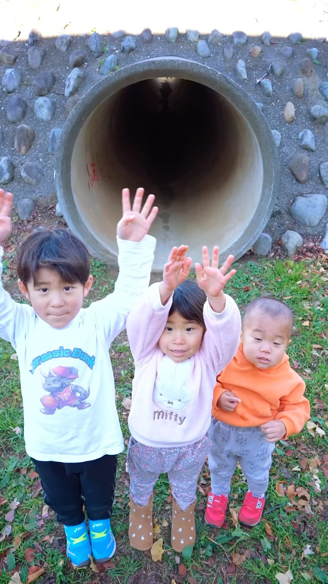 Tunnel of fear?