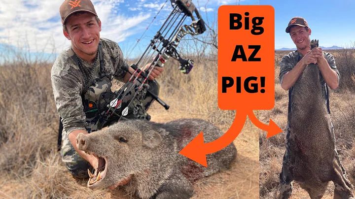 AZ Archery Javalina Hunt 2021!! | Success First Try!!