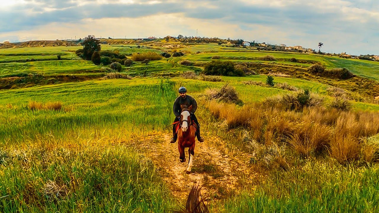 Galloping In The Blooming Countryside - Horse Gallop Episode 1.
