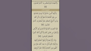 القارئ حاشد الذيب #اكسبلور #السعوديه #يوم_الجمعة #لايك #المصحف #الرحمن #دويتو #تيك_توك #love #القران