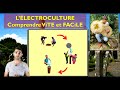 Llectroculture comprendre rapide et facile  6 minutes 