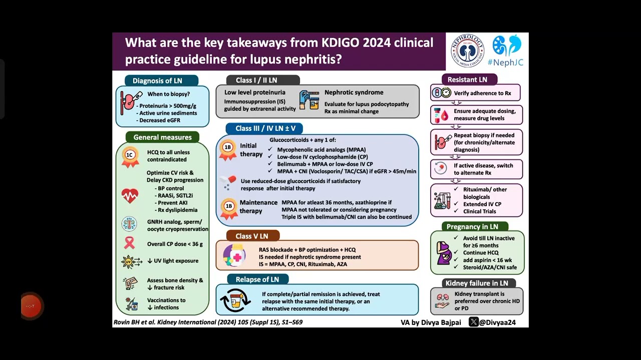 KDIGO 2024 clinical practice guideline for lupus nephrotis - YouTube