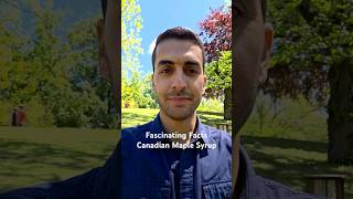 Fascinating Facts About Canadian Maple Syrup