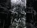 Something Was Wrong in the Jungle… A Possible Trap #Shorts#WarStories#VietnamWar#Documentary