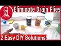 How to Get Rid of Drain Flies