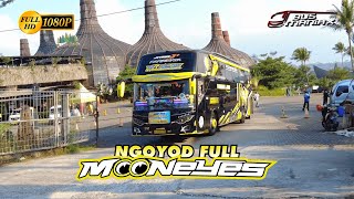 TUNGGAL JAYA MOONEYES || EPISODE NGOYOD MOONEYES DARI DUSUN SEMILIR.