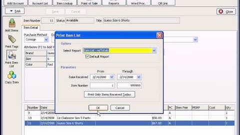 Entering Items - Liberty4 Consignment - Part 2