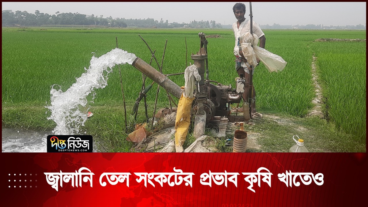জ্বালানি তেল সংকটের প্রভাব কৃষি খাতেও | Fuel Crisis | Agriculture Sector | Deepto News