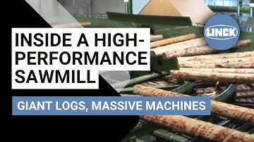 Giant Logs, Massive Machines: Inside a High-Performance Austrian Sawmill