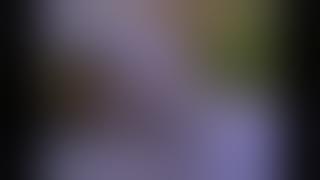 Cadillac Girls (1993)