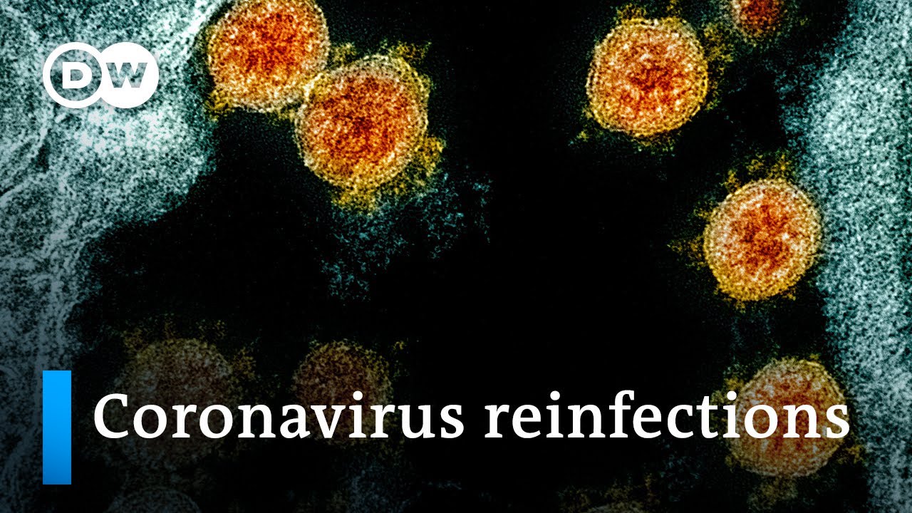 Coronavirus reinfections raise concerns | DW News