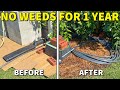 This ONE THING Can Keep Your Yard WEED FREE For A Full Year