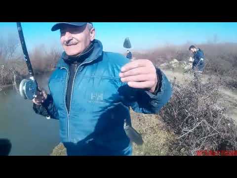 თევზაობა ჯანდარის არხზე