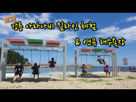 [낚시대마왕] 아찔한 강릉 아라나비 짚라인 체험 (feat. 시원한 연곡 해수욕장)