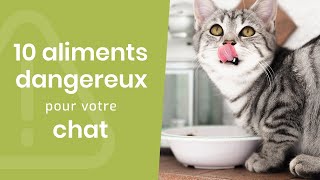 10 ALIMENTS DANGEREUX POUR VOTRE CHAT