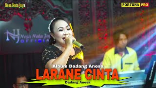 LARANE CINTA - DADANG ANESA || LIVE NGOBROG NING JERO HAPE